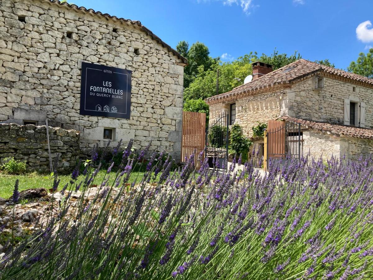 הוילה Montcuq Les Fontanelles Du Quercy Blanc מראה חיצוני תמונה