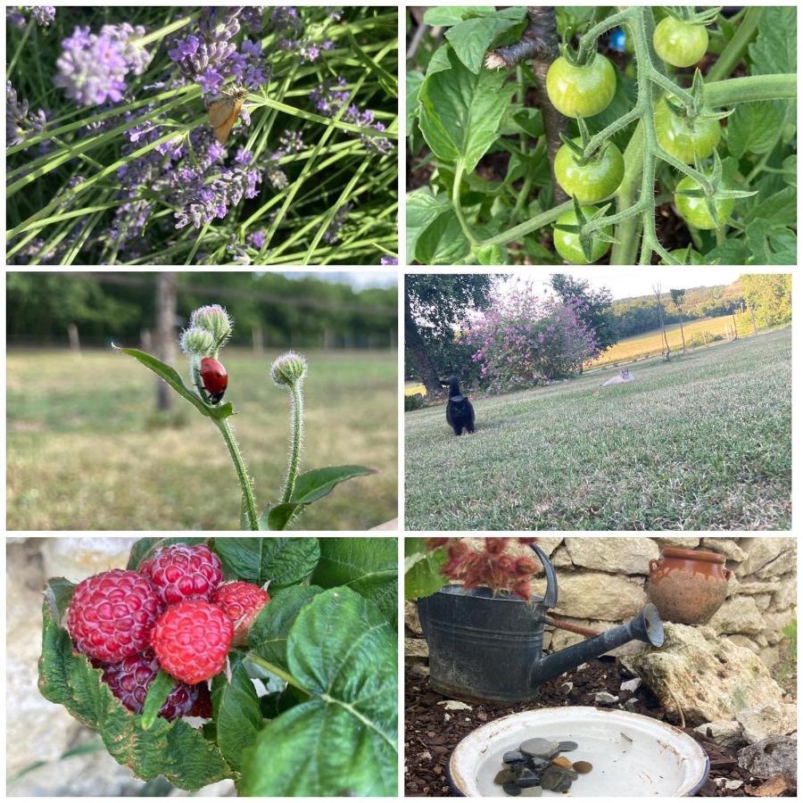 הוילה Montcuq Les Fontanelles Du Quercy Blanc מראה חיצוני תמונה