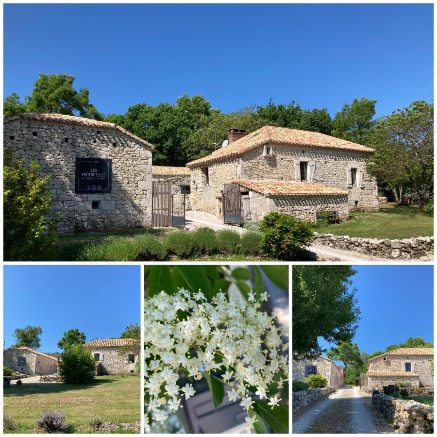 הוילה Montcuq Les Fontanelles Du Quercy Blanc מראה חיצוני תמונה